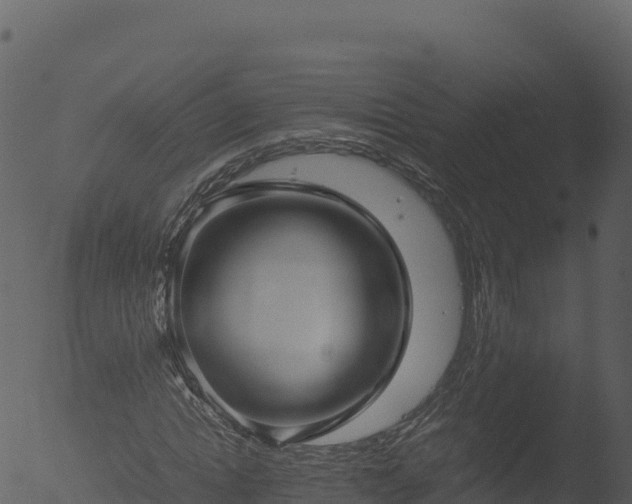 X0000053090822200507181716