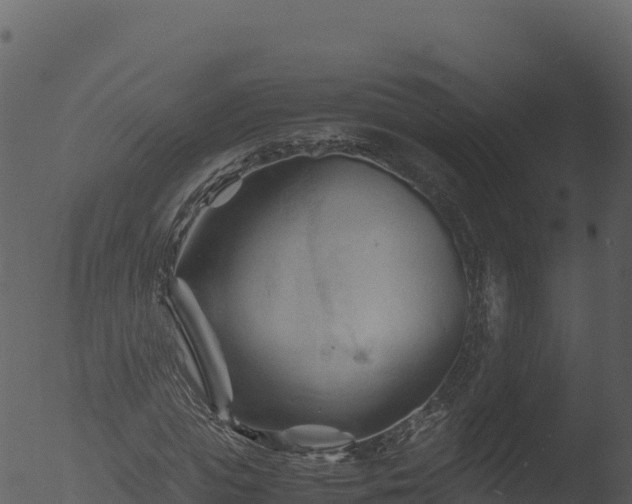 X0000053090823200507181716