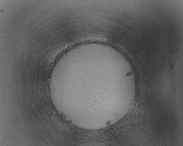 X0000053090824200507181716