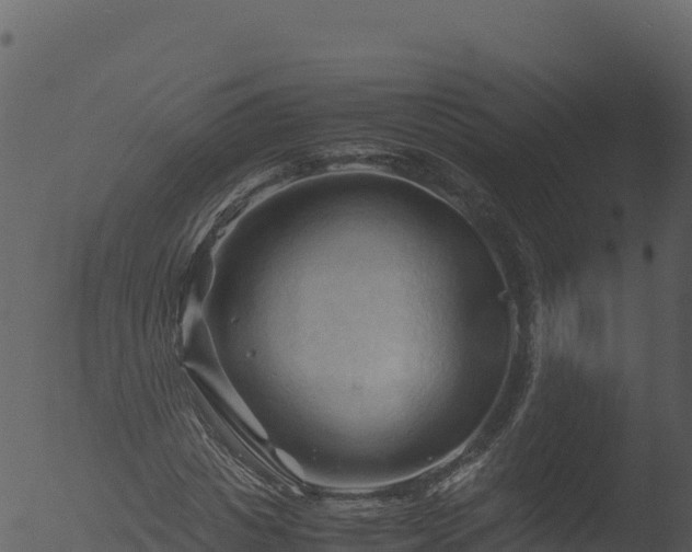 X0000053090825200507181716