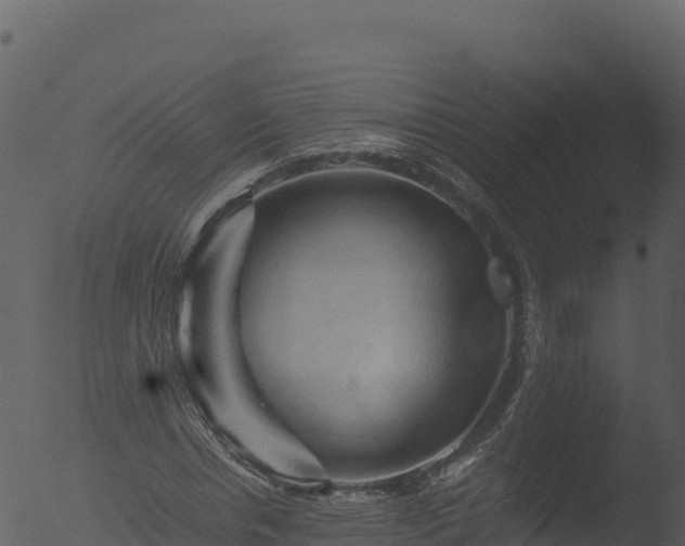 X0000053090826200507181716