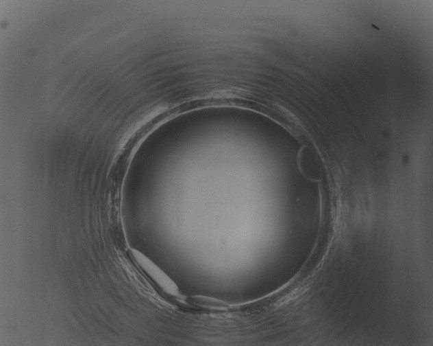 X0000053090827200507181716