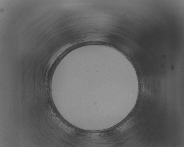 X0000053090828200507181716