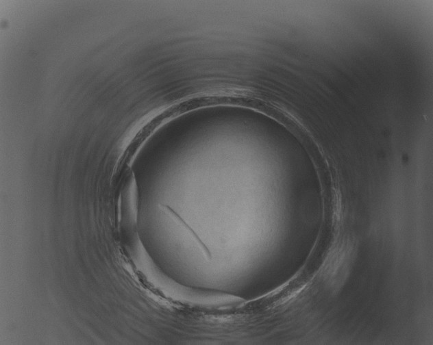 X0000053090829200507181716