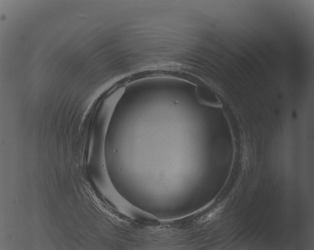 X0000053090830200507181716