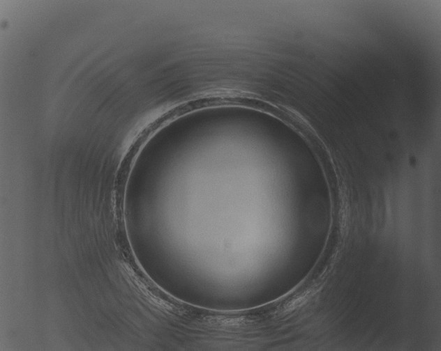 X0000053090831200507181716