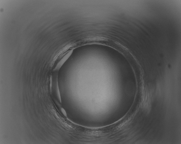 X0000053090833200507181716