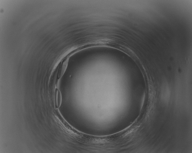 X0000053090835200507181716