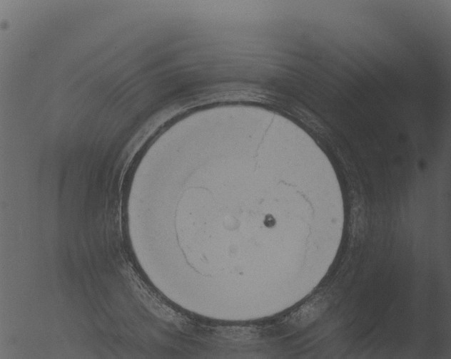 X0000053090836200507181716