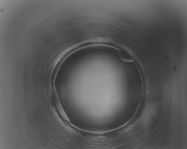 X0000053090837200507181716