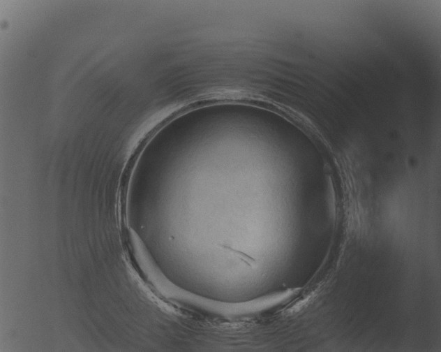 X0000053090839200507181716