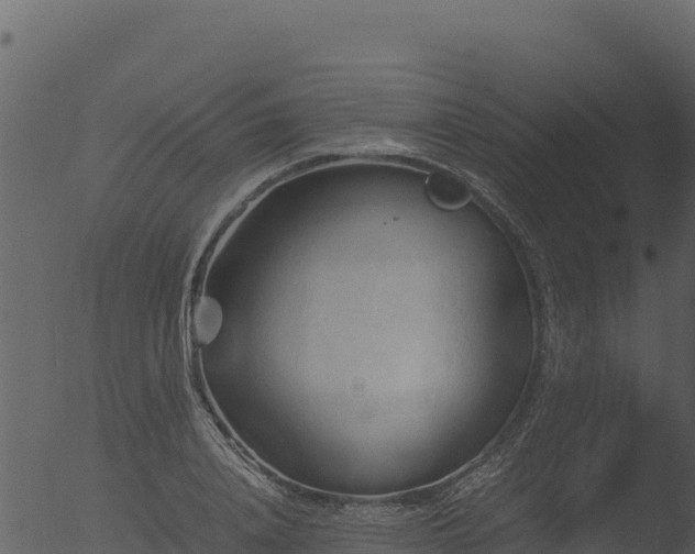 X0000053090840200507181716