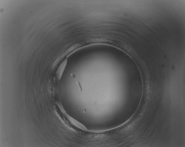 X0000053090841200507181716