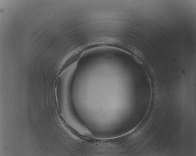 X0000053090842200507181716