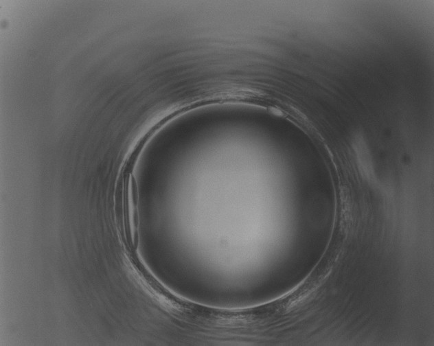 X0000053090843200507181717