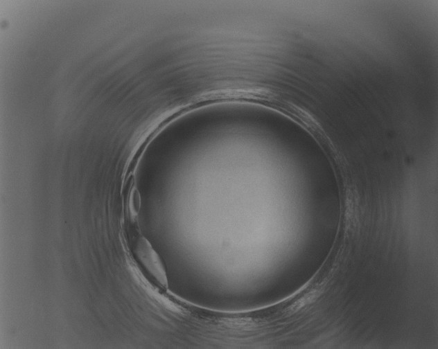 X0000053090844200507181717