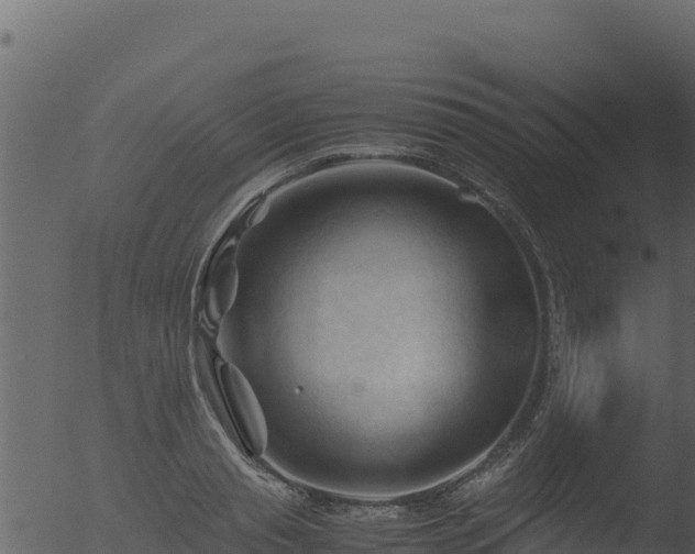 X0000053090845200507181717