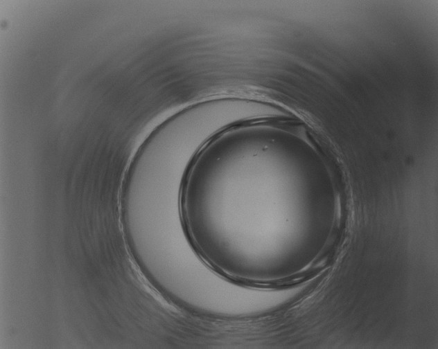 X0000053090846200507181717