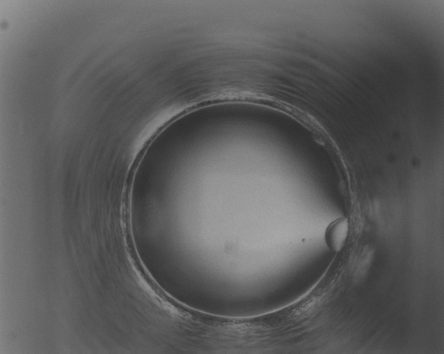 X0000053090847200507181717