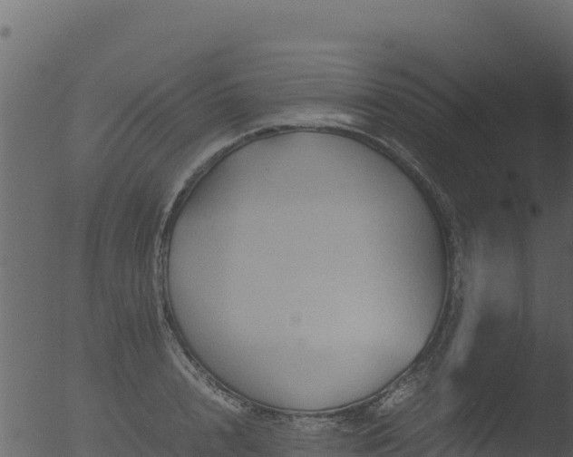 X0000053090848200507181717