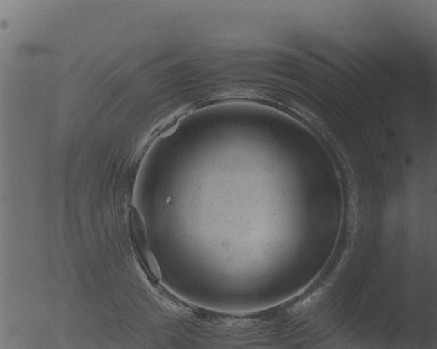 X0000053090849200507181717