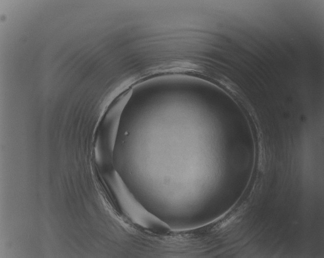 X0000053090850200507181717