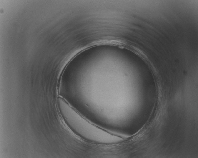 X0000053090852200507181717