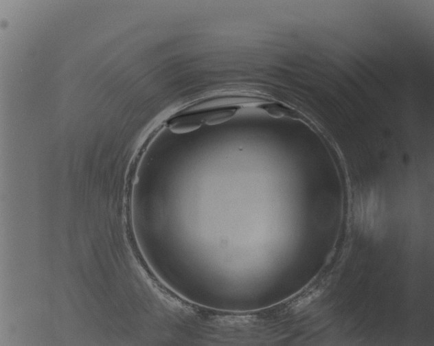 X0000053090853200507181717