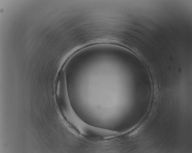 X0000053090854200507181717