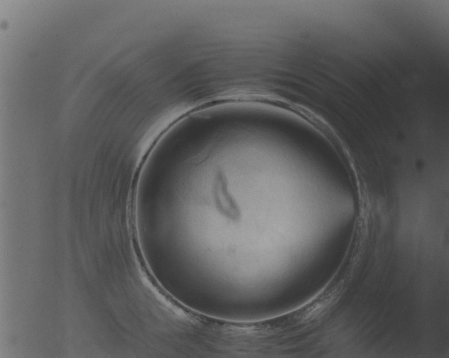 X0000053090855200507181717