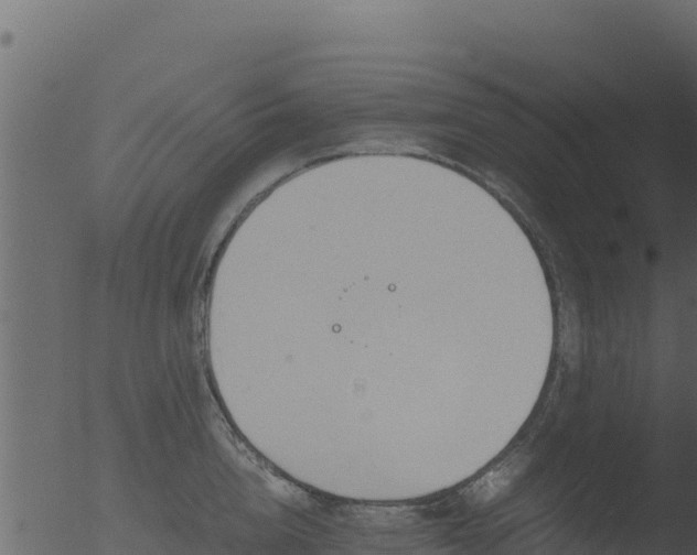 X0000053090856200507181717