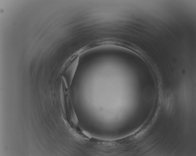 X0000053090857200507181717