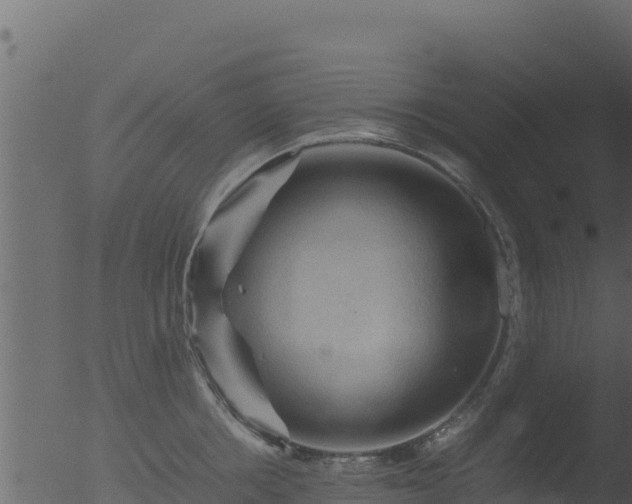 X0000053090858200507181717