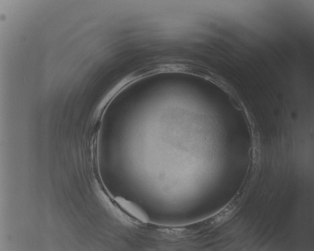 X0000053090859200507181717