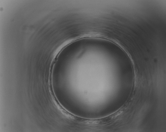 X0000053090861200507181717