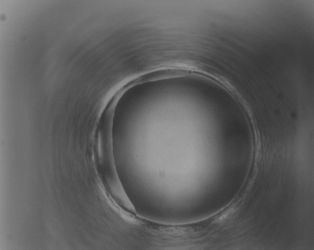 X0000053090862200507181717