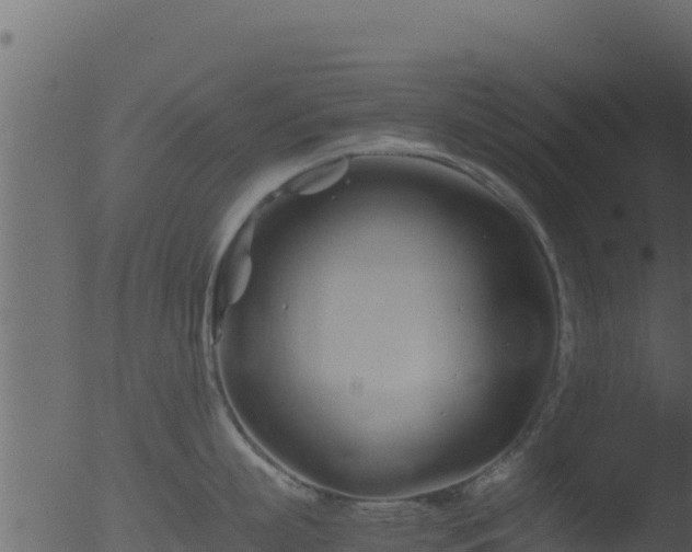 X0000053090863200507181717