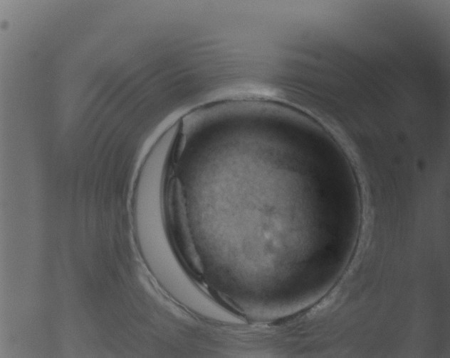 X0000053090864200507181717