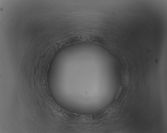 X0000053090865200507181716