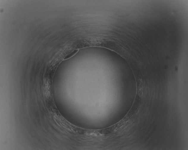 X0000053090866200507181716