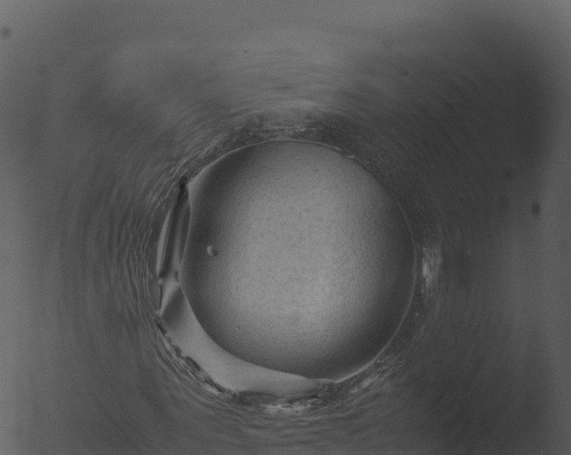 X0000053090867200507181716