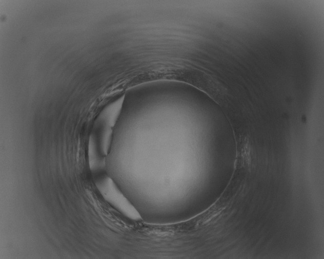 X0000053090868200507181716