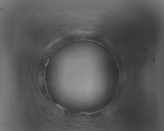 X0000053090869200507181716