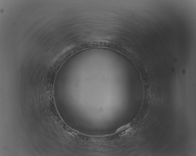 X0000053090870200507181716