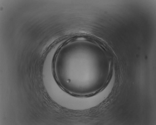 X0000053090871200507181716