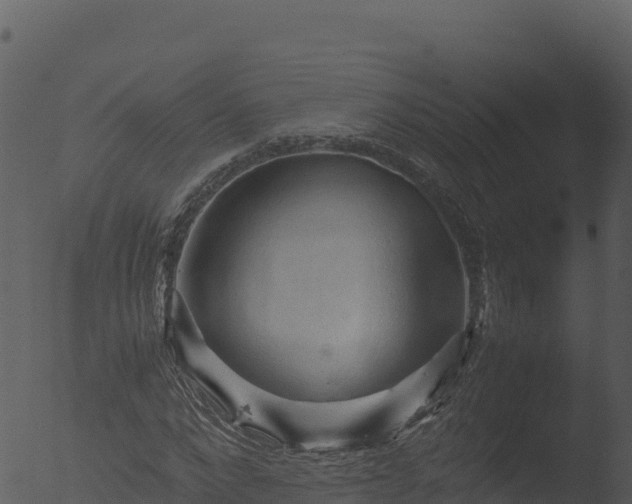 X0000053090872200507181716