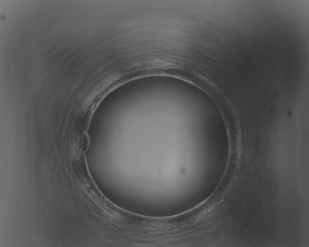 X0000053090873200507181716