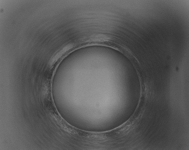 X0000053090874200507181716