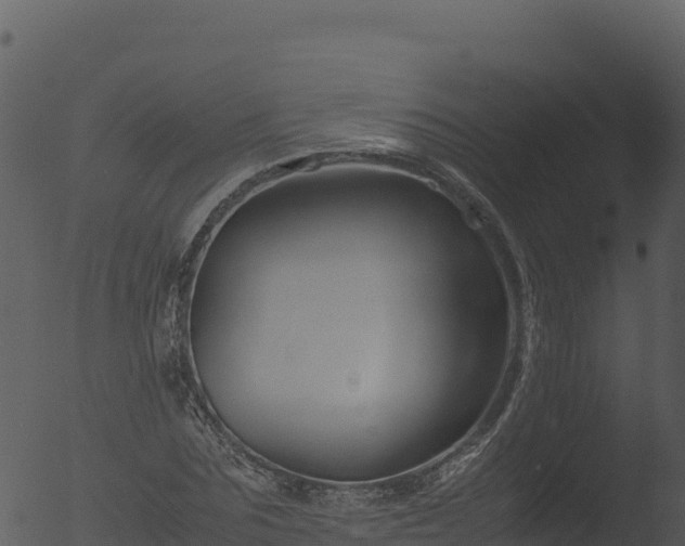 X0000053090875200507181716