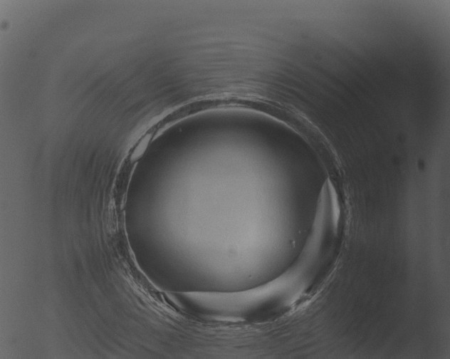 X0000053090876200507181716